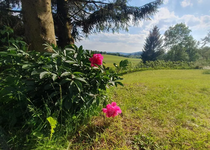 Schneekopf Vakantiehuis *